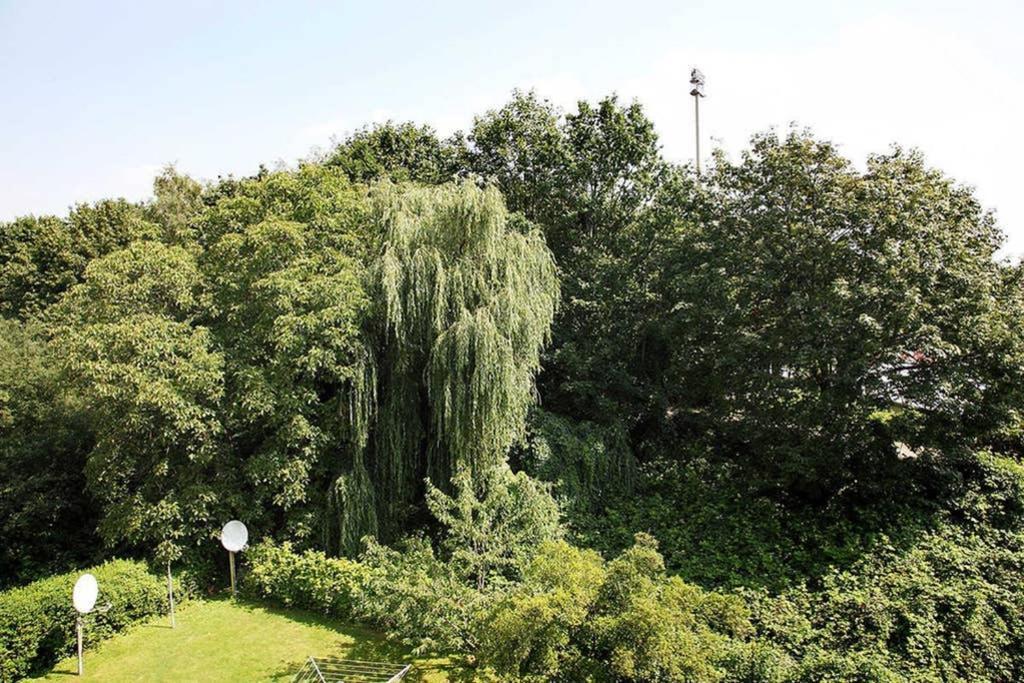 City Apartments Cologne - Apartment 2 מראה חיצוני תמונה